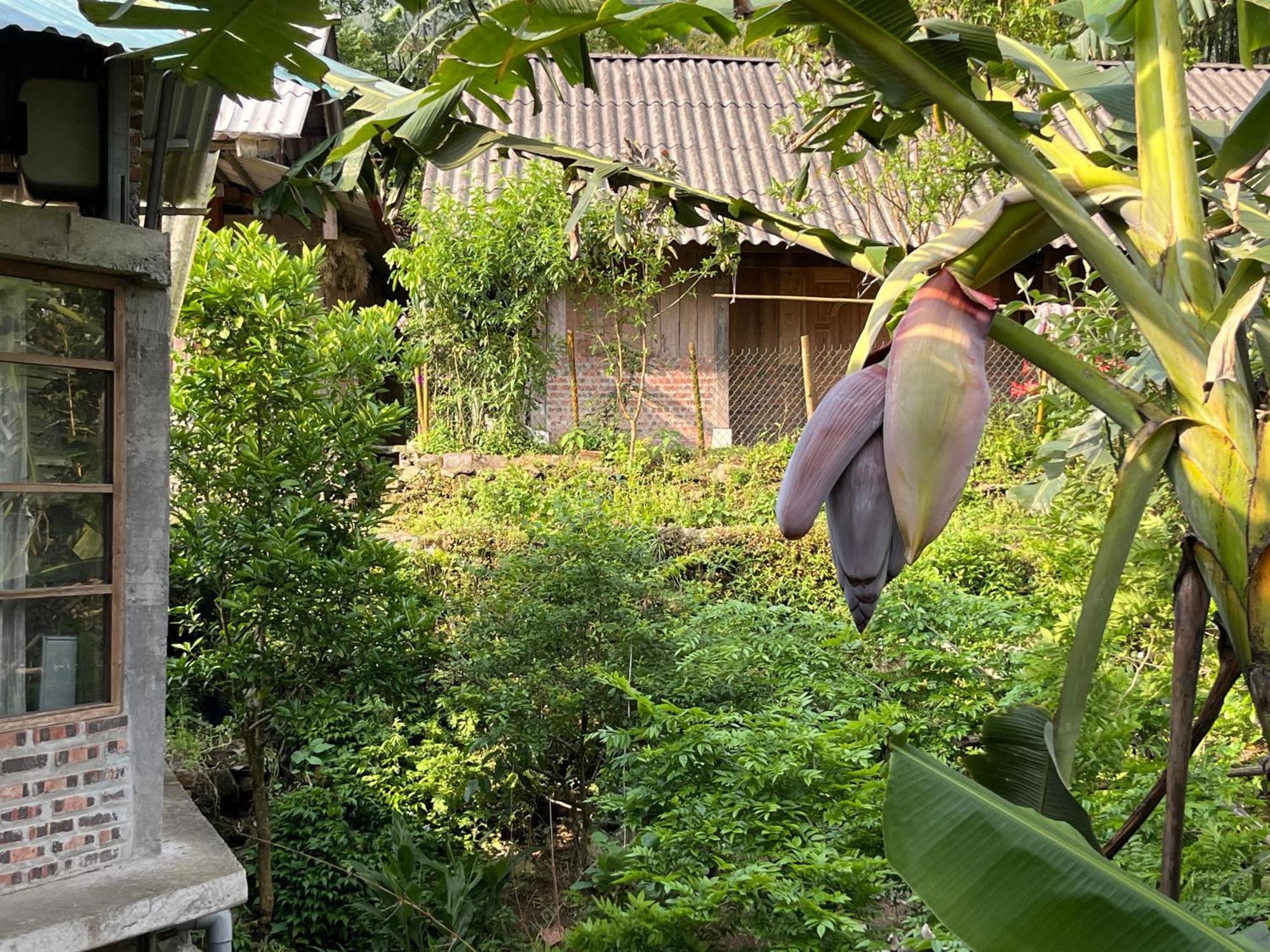 Ya'S House Apartment Sa Pa Ngoại thất bức ảnh